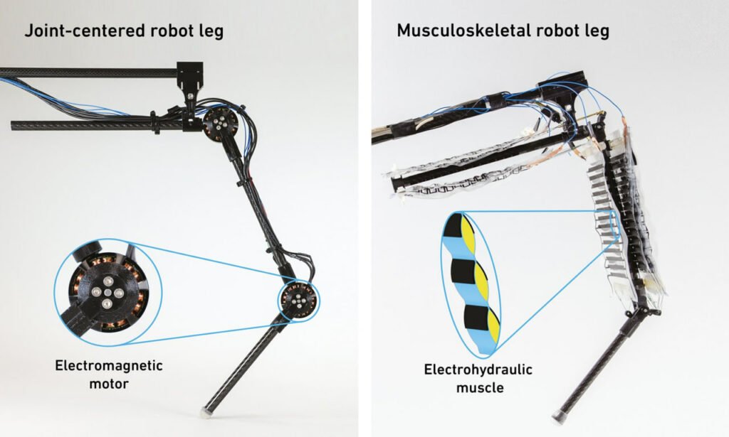 image-T54PerqE-muscular-robot-loeg-1024x615.jpg